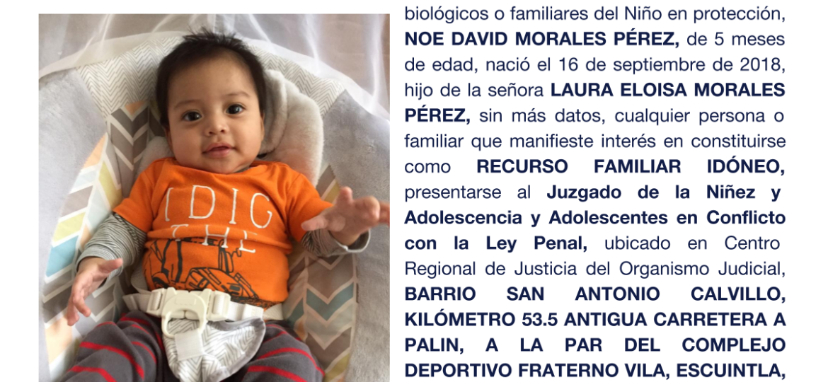 NOE DAVID MORALES PÉREZ