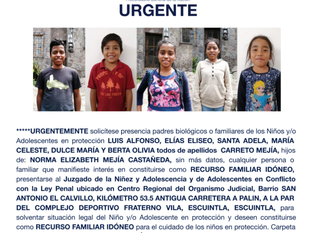 LUIS ALFONSO, ELÍAS ELISEO, SANTA ADELA, MARÍA CELESTE, DULCE MARÍA Y BERTA OLIVIA todos de apellidos CARRETO MEJÍA