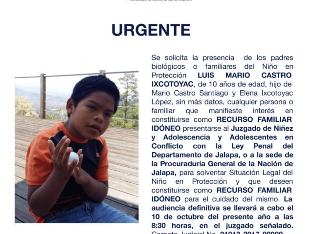 LUIS MARIO CASTRO IXCOTOYAC