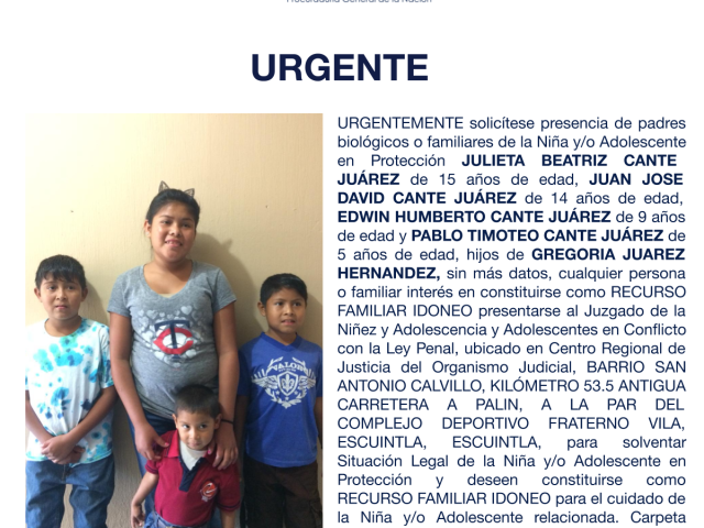 JULIETA BEATRIZ CANTE JUÁREZ, UAN JOSE DAVID CANTE JUÁREZ, EDWIN HUMBERTO CANTE JUÁREZ, PABLO TIMOTEO CANTE JUÁREZ