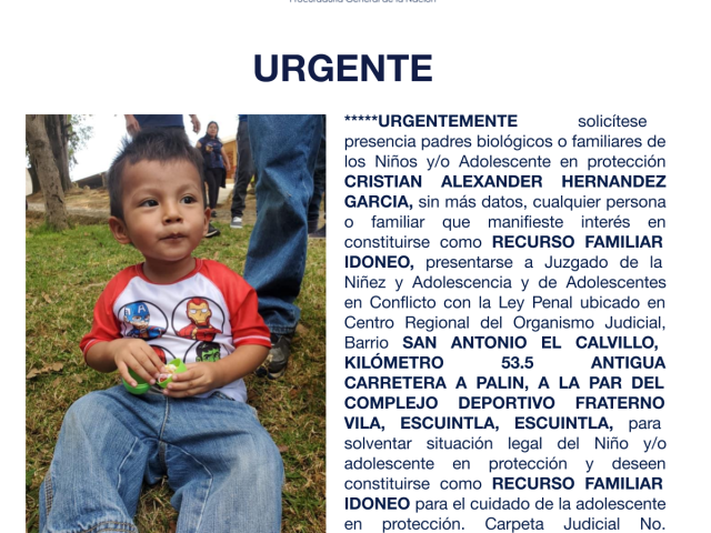CRISTIAN ALEXANDER HERNANDEZ GARCIA