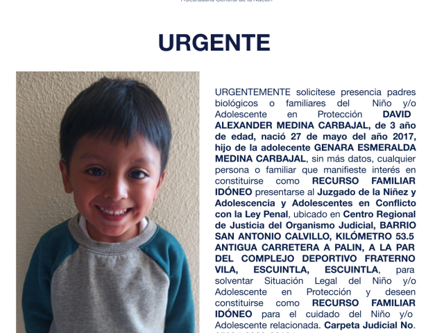 DAVID ALEXANDER MEDINA CARBAJAL