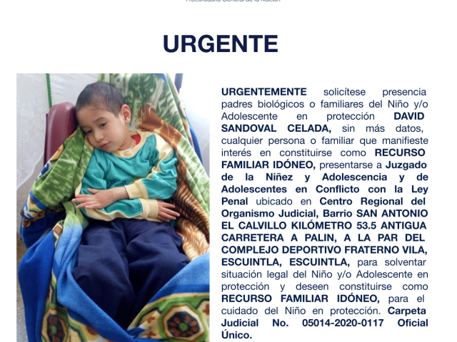 DAVID SANDOVAL CELADA