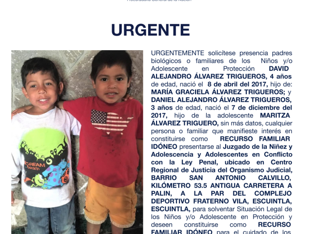 DAVID ALEJANDRO ÁLVAREZ TRIGUEROS, DANIEL ALEJANDRO ÁLVAREZ TRIGUEROS