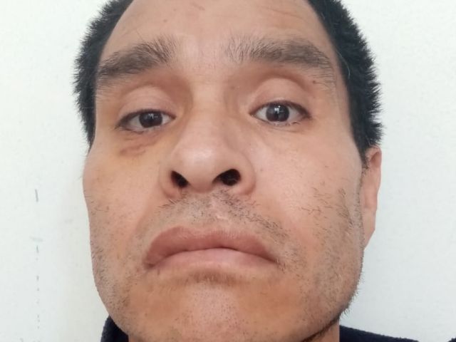 ERVIN ARDON