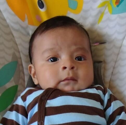 WhatsApp Image 2025-08-06 at 11.14.54 AM