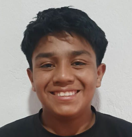 MARIO MOISES