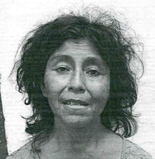 Captura de pantalla 2025-11-03 120311