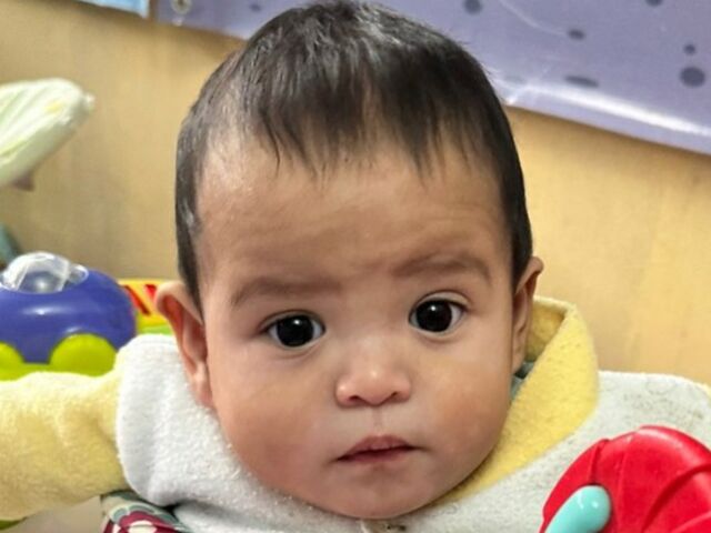 WhatsApp Image 2025-11-11 at 17.02.00