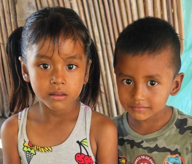 FOTOGRAFIA DE NNA ELIAS EMILIO CHAJON REVOLORIO y NNA MAILYN ESMERALDA GONZALEZ CHAJON.