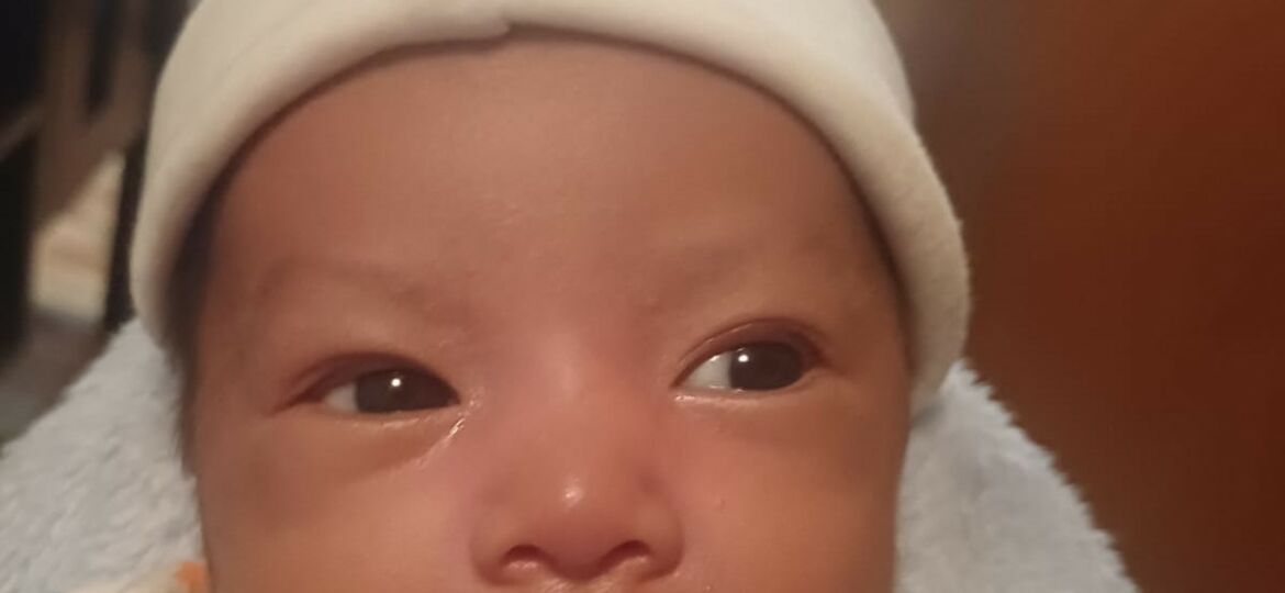 WhatsApp Image 2026-02-13 at 12.10.51 PM