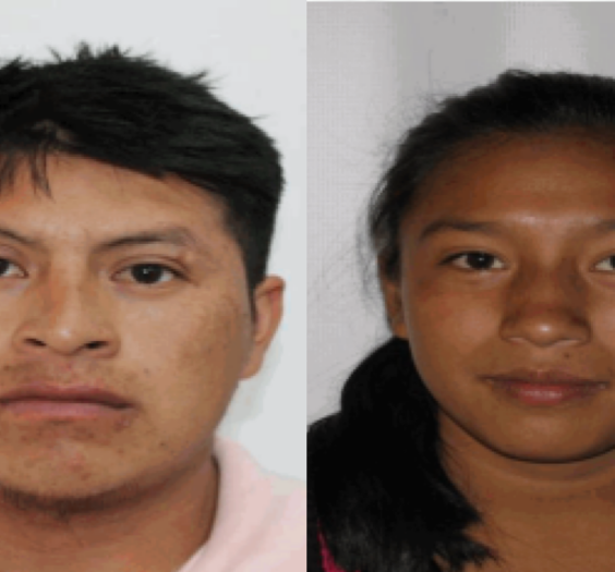 Servicio Social 2025.pptx - 2026-04-29T085952.680