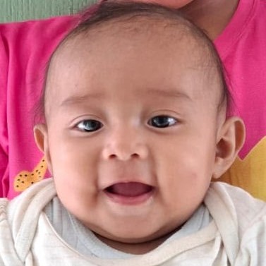 Bebita