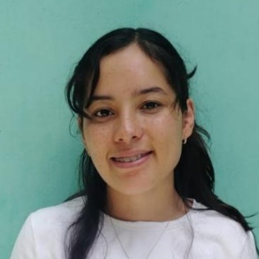 CARMEN TRANSITO